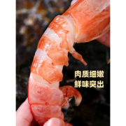 菜帮 特大阿根廷红虾 18~20cm 净含量4斤
