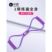 白菜价：中欧 8字拉力器