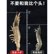 浩大极鲜 鲜冻白虾 净重1400g