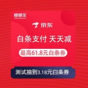 京东白条 白条支付 天天减 最高61.8元白条券