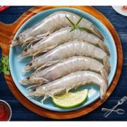 百亿补贴： 寰球渔市 白虾净重3.6-4斤（16-18cm/只）