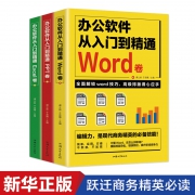 《word excel ppt从入门到精通》 全三册