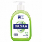 霸王 抑菌洗手液（金银花滋润型）500g