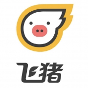 飞猪 火车票 2元优惠券（满3元可用）