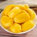 赣馨园 海南菠萝蜜 18-22斤