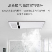 HONYAR 鸿雁 D46 双电机浴霸 2500w