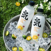 元気森林 清爽卡曼橘味苏打气泡水 480ml*12瓶 0糖0脂0卡路里