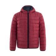 双11预售！考拉海购黑卡会员！ TOMMY HILFIGER 汤米·希尔费格 155AN491 男士羽绒夹克 195元包邮（需定金，1日付尾款）
