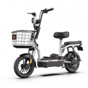 Yadea 雅迪 小金果 48V12AH 成人电动车