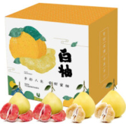 生鲜猫 福建平和琯溪蜜柚 4个装(2个红肉柚+2个白肉柚) 带箱约9.5斤