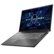 雷神(ThundeRobot) 新911绝地武士 16.6英寸游戏笔记本电脑(十代i7-10750H 16G 256G+1T RTX2060 144Hz)
