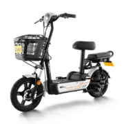 1日0点、双11预售： SUNRA 新日 TDTZD-025 48V 电动车