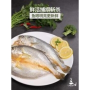黄渔小姐 新鲜冷冻宁德大黄鱼 215g*8袋