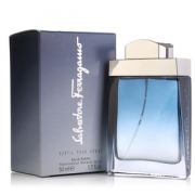 5日10点！Ferragamo Subtil Pour Homme 蓝色经典 男士淡香水 50ml