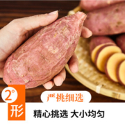 马栏河 鸡蛋黄板栗薯 5斤
