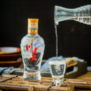 天猫U先：泸州老窖 川老大小酒100ml