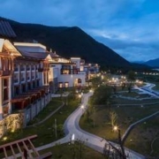 双11预售： 希尔顿酒店 九寨沟/林芝/青海3店2晚 含双早