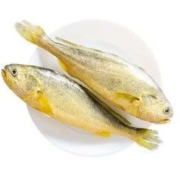 国联 冷冻东海三去黄花鱼 1kg 2条