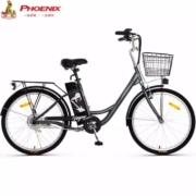 19日0点：PHOENIX 凤凰 50455928098 电动自行车