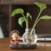 智老板 绿萝水培花盆 装饰摆件 不听