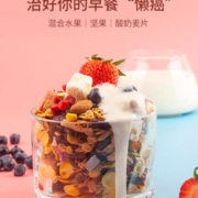 九州树叶 即食水果燕麦片 500g 科学搭配 美味代餐