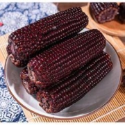 大卉 东北黑糯玉米 10支 2000g