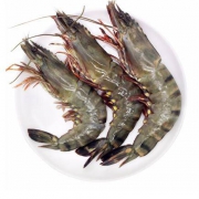 PLUS会员：品鲜猫 越南活冻黑虎虾 净虾400g 12-20只 *3件