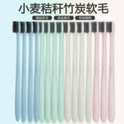 小麦秸秆竹炭软毛牙刷 12只