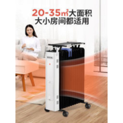 先锋 DYT-Z5 家用电热油汀13片