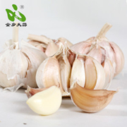 金乡 紫皮富硒大蒜 5斤装 直径5-5.5CM