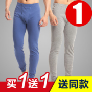 三枪旗下 鹅牌 男100%纯棉秋裤 2条