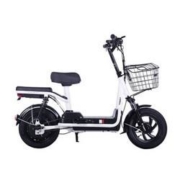 TAEN T踏浪 TDT125Z 新国标电动车