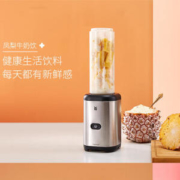 WMF 福腾宝 0416279911 便携式搅拌机 0.6L 银色