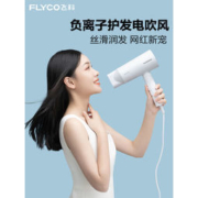Flyco 飞科 FH6276 电吹风机