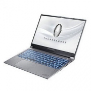 ThundeRobot 雷神 911M 野王 15.6英寸笔记本电脑（i7-10750H、8GB、512GB、GTX1650TI）