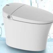 双11预售： Haier 海尔 爱莎系列 智能马桶一体机