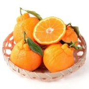 mo l eeca 莫丽卡  不知火丑柑丑橘 净果约2.5kg*2