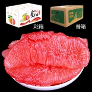 储山福建平和红蜜柚2.5斤现摘