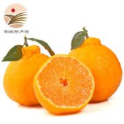 饱满多汁！静益乐源 四川不知火丑橘 3斤*3