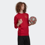 1号0点、双11预告：阿迪达斯 adidas 男子 阿森纳 运动 套头卫衣 GH0030