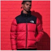 TheNorthFace 北面 1996Nuptse 中性款羽绒服