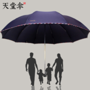 Paradise 天堂 3311E 晴雨伞 64cm*10骨