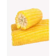 老农贡 正宗山西非转基因甜糯玉米棒 10根2200g
