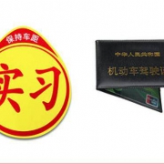 洛伊丝 实习标志+驾驶证包