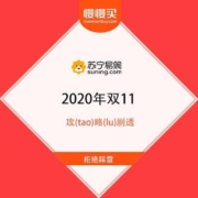 见招拆招：2020苏宁双11攻略解读