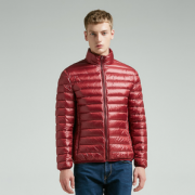 轻薄保暖！pierre cardin 皮尔·卡丹 23C3903 保暖轻薄羽绒服 84元