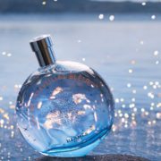 1日0点！黑卡会员！ HERMÈS 爱马仕 蓝色橘彩星光淡香水 100ml 470元包邮包税（限前2小时）