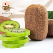 新鲜现摘！贵州修文绿心猕猴桃 15粒中果 单果50-70g