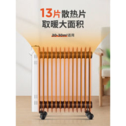 先锋 新款 DYT-Z5 家用电热油汀13片