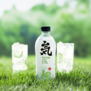 元气森林 无糖0脂 青瓜味苏打气泡水 480ml*12瓶